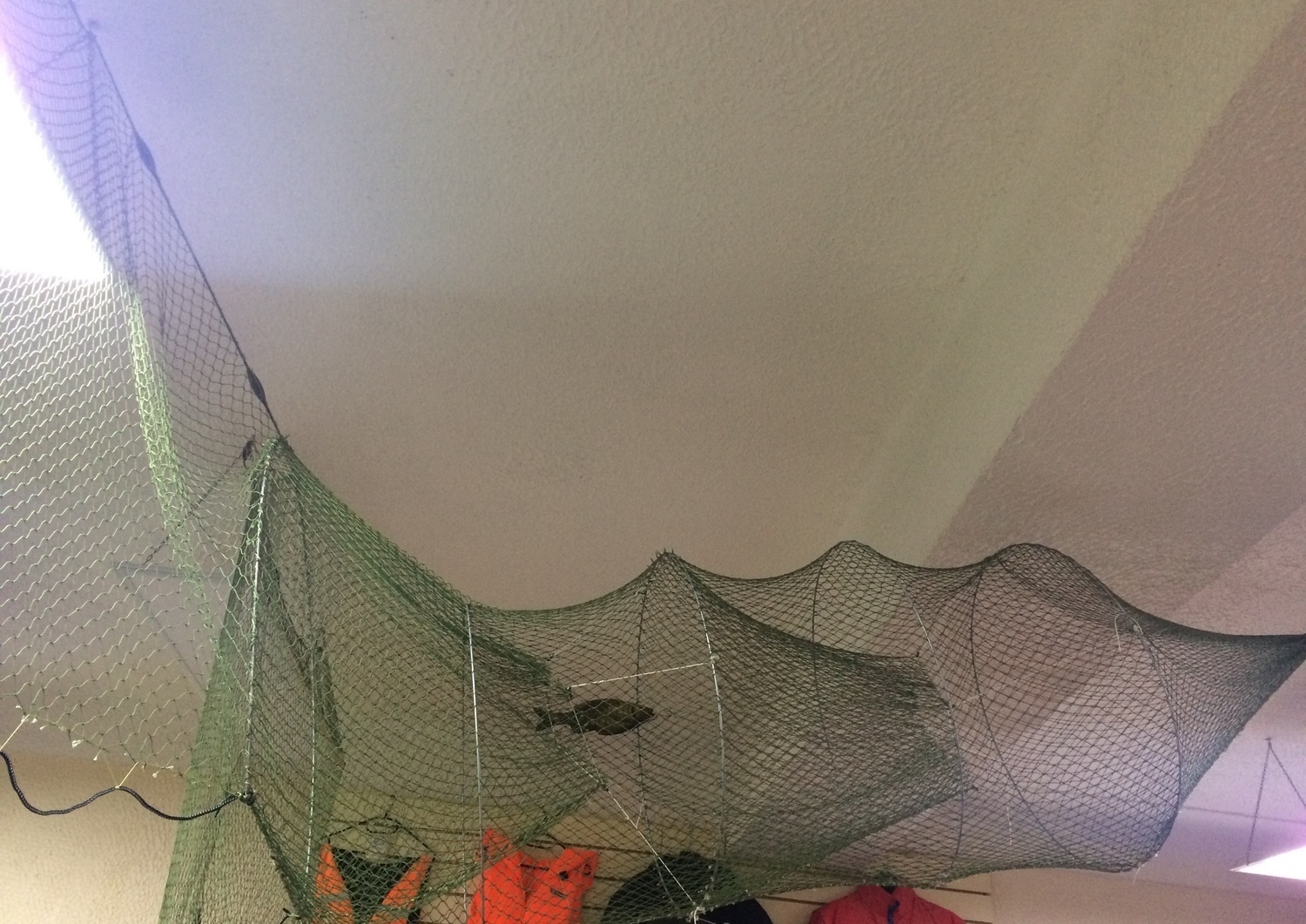 Описание изображения